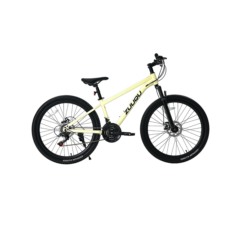 HYM-039 21 Speed​Disc Brake 26" MTB